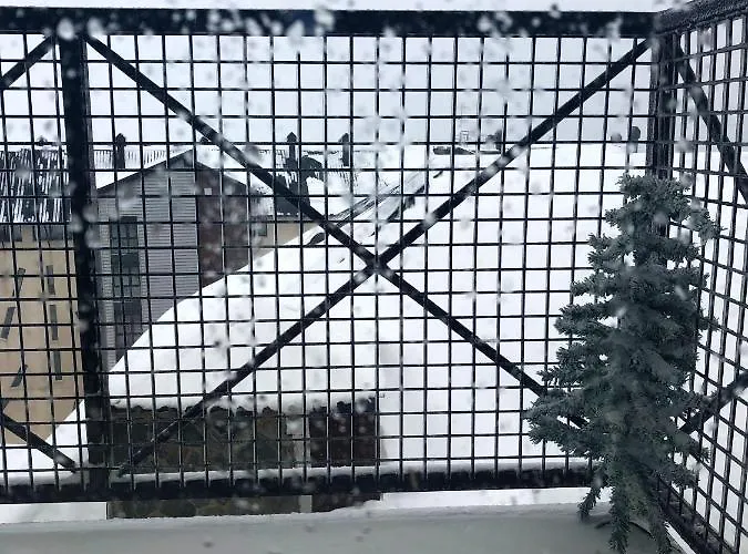 Cozy Mountain View - 70m²